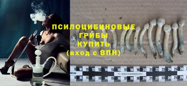 2c-b Белокуриха