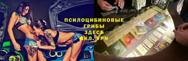 2c-b Белокуриха