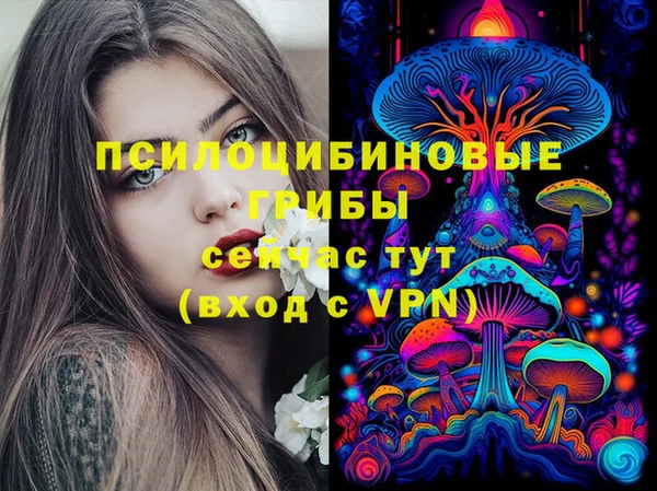 2c-b Белокуриха
